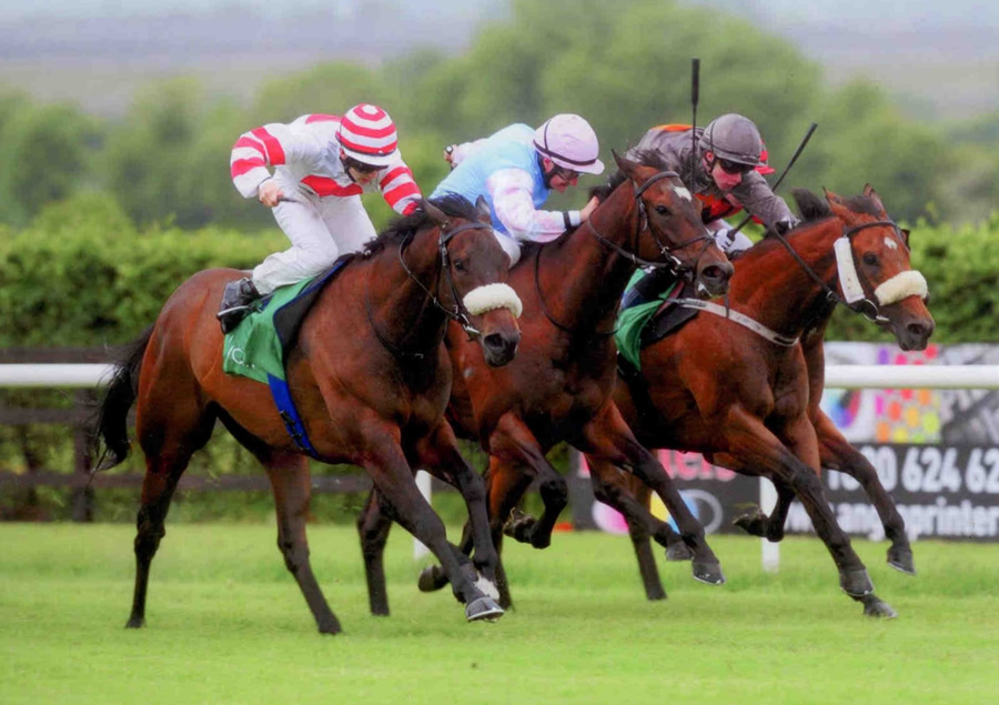 JOE EILE - Winning at Navan 14th June